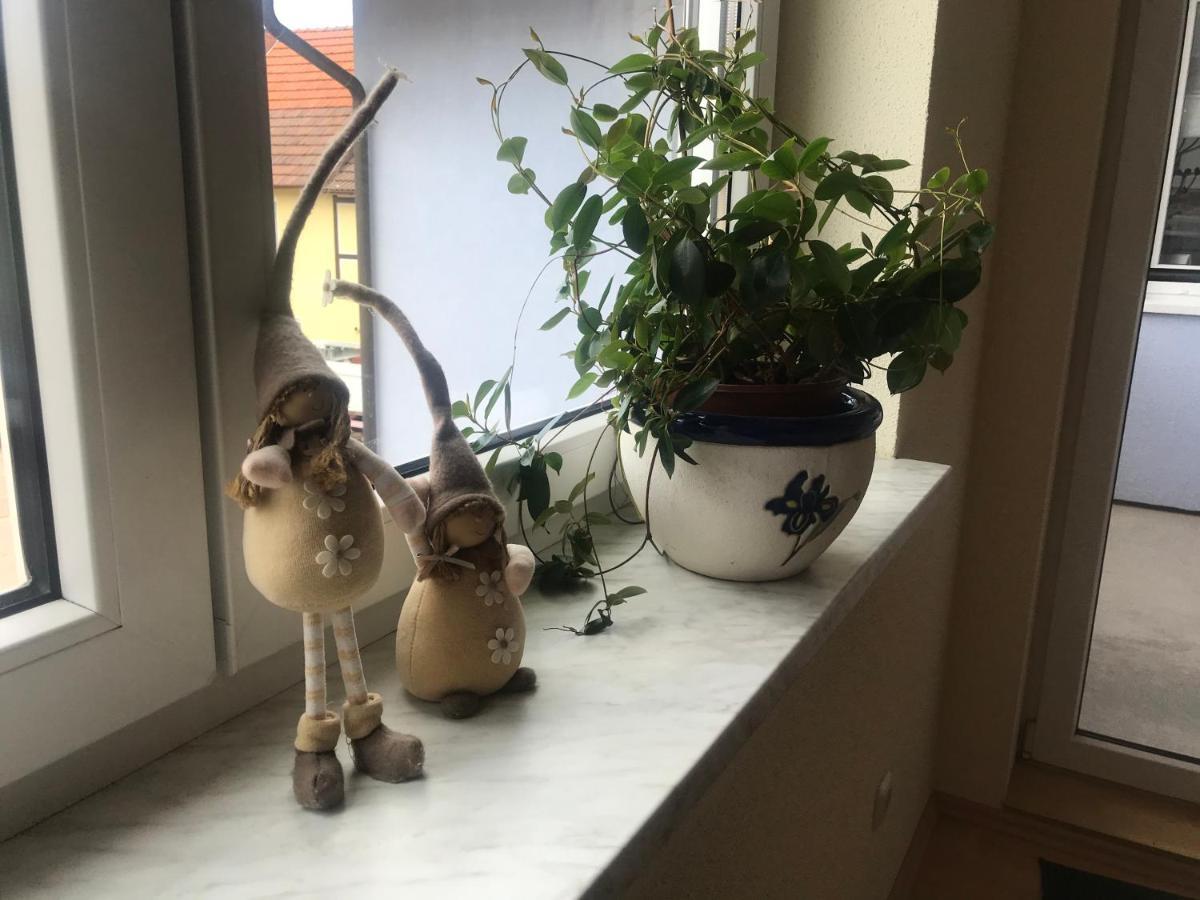 Ferienwohnung Am Gruenen Band Hellingen Kültér fotó