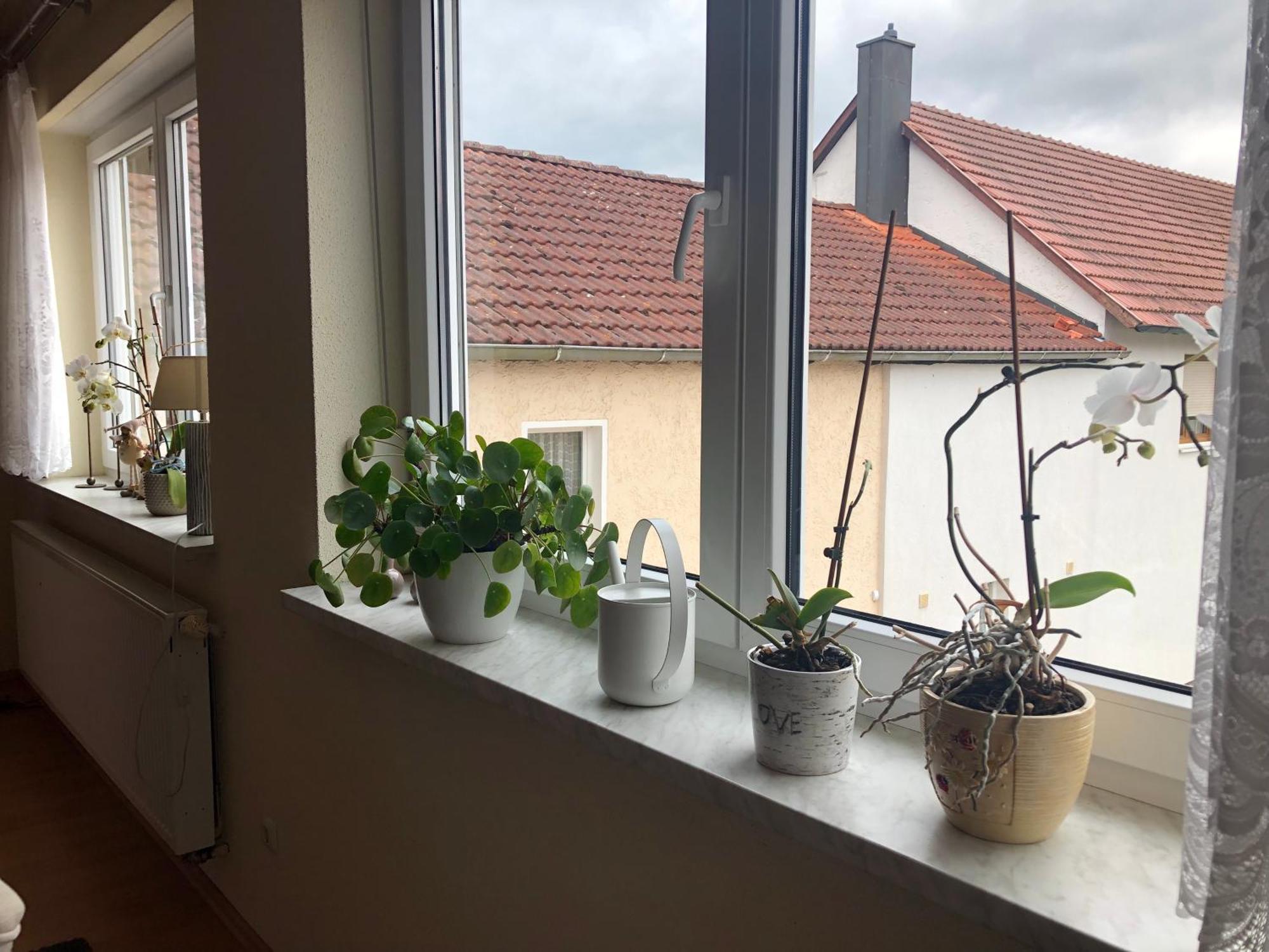 Ferienwohnung Am Gruenen Band Hellingen Kültér fotó
